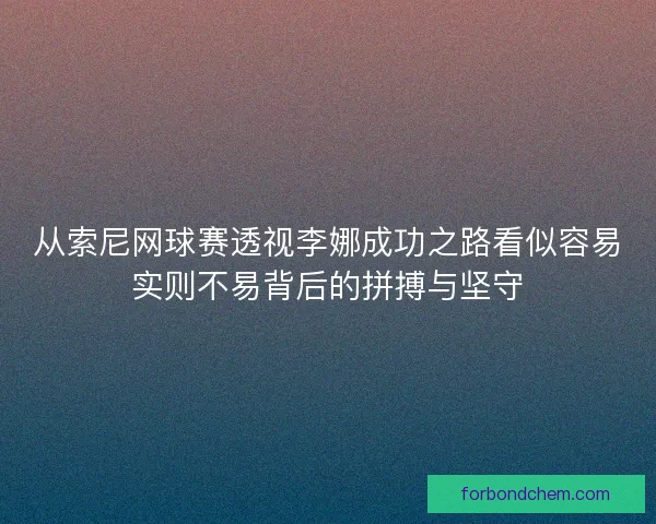 从索尼网球赛透视李娜成功之路看似容易实则不易背后的拼搏与坚守